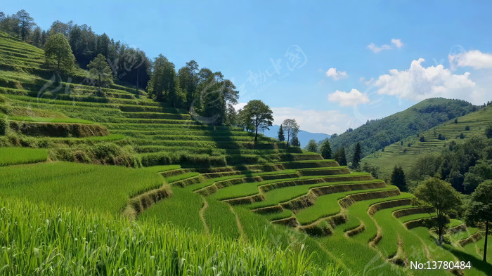 ��԰������Ȼ���