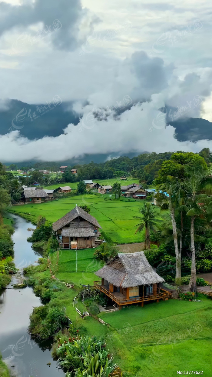 ��԰���é������Ȼ���