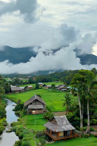 ��԰���é������Ȼ���