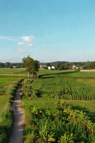 ��԰�����Ұ���