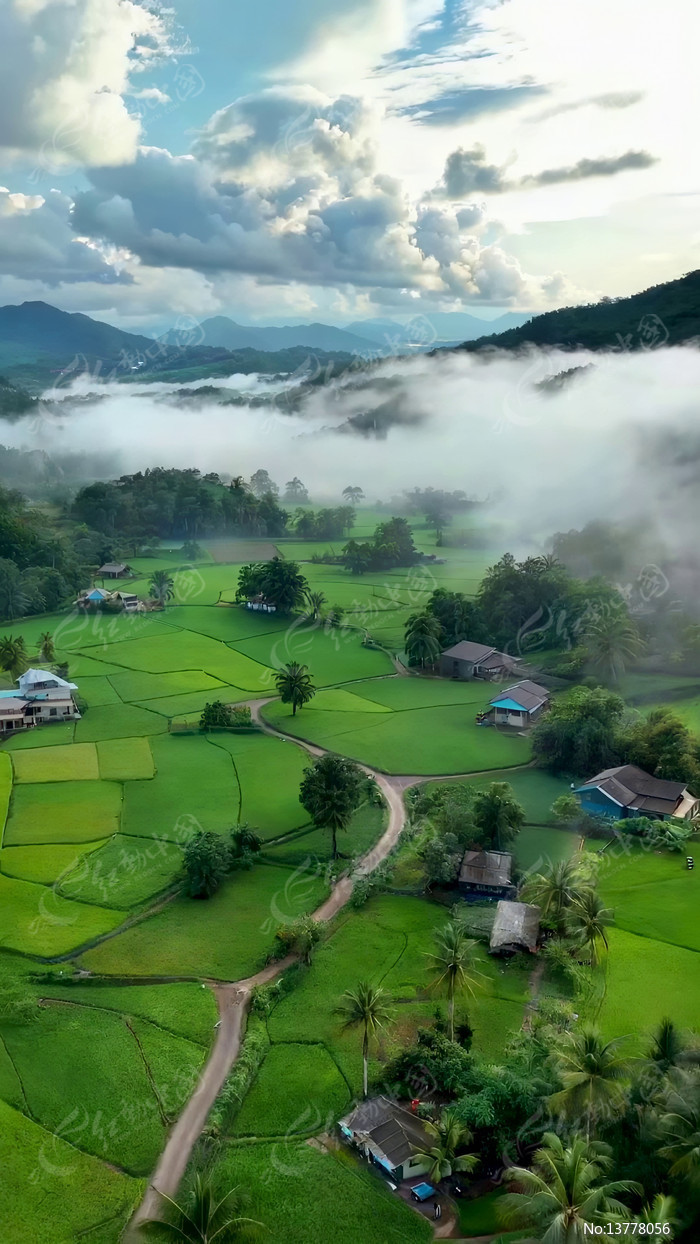 ��԰����������ƺ���ȫ��