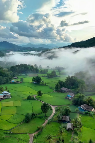 ��԰����������ƺ���ȫ��