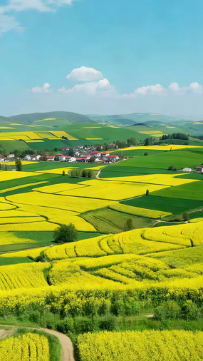 ��԰�Ͳ˻��︩羰