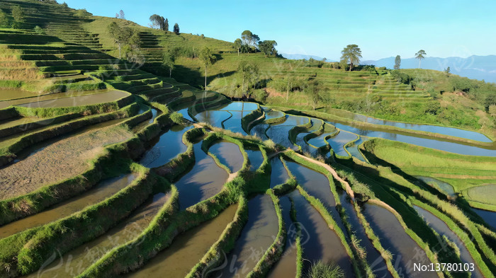 ����ũ����Ȼ��⸩�