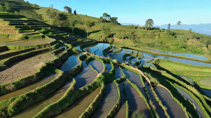 ����ũ����Ȼ��⸩�