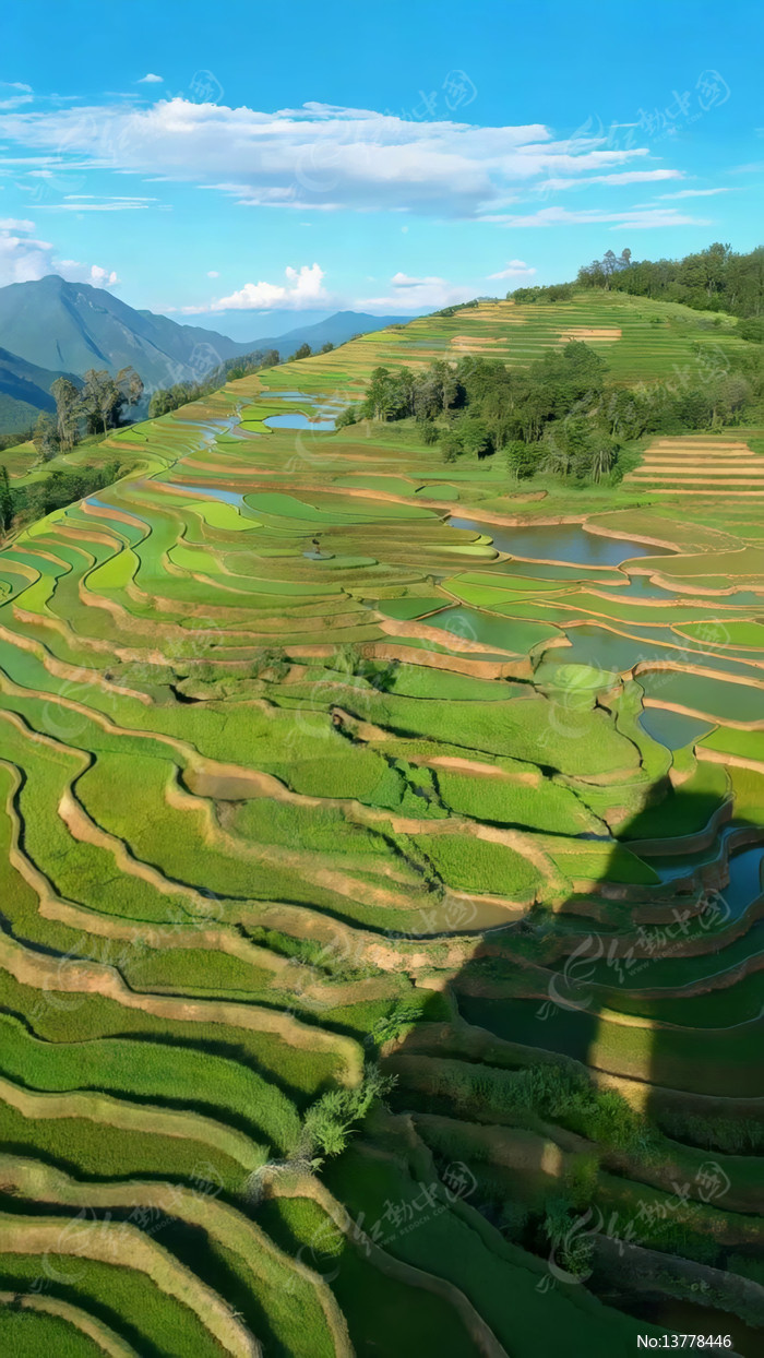 ������԰��⸩�ɫ