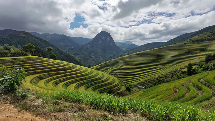 梯田自然风光全景 梯田自然风光全景
