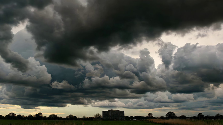 ���������µ���Ұ�뽨��