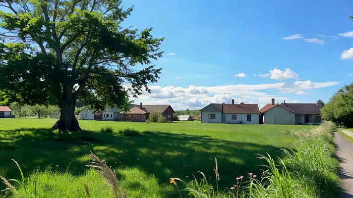 乡村草地大树与民居风景 乡村草地大树与民居风景