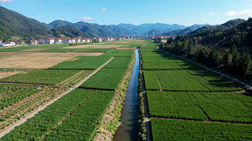 ��嵾����ȫ��