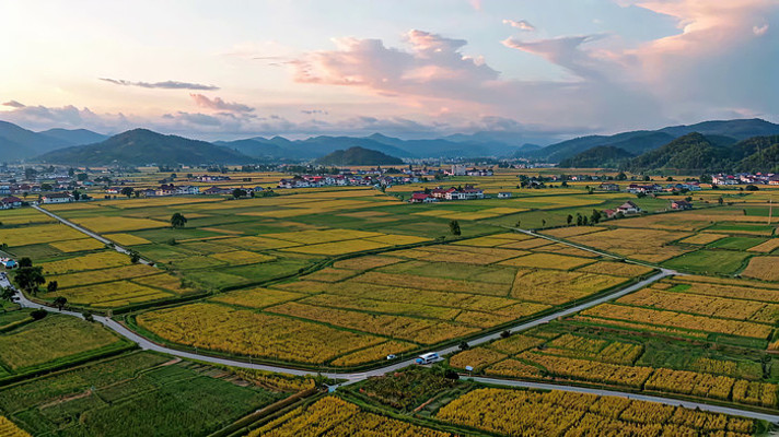 乡村稻田航拍全景 乡村稻田航拍全景