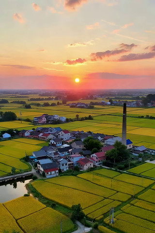 乡村稻田日落航拍全景 乡村稻田日落航拍全景