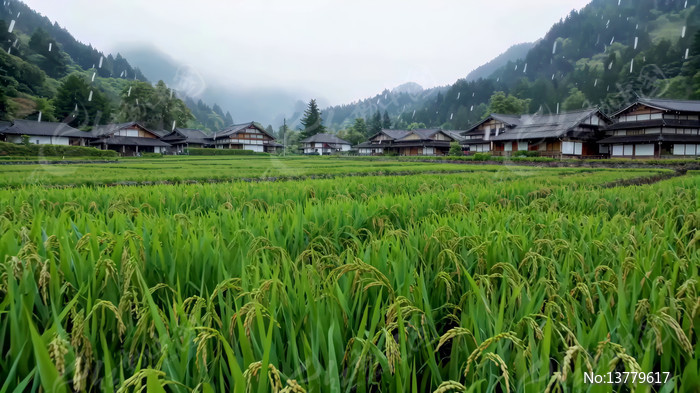 ��嵾���봫ͳ��Ӿ���