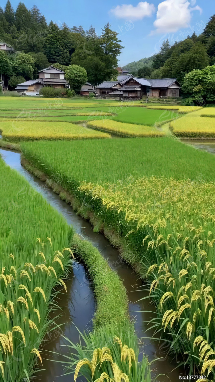 ��嵾������ӷ羰