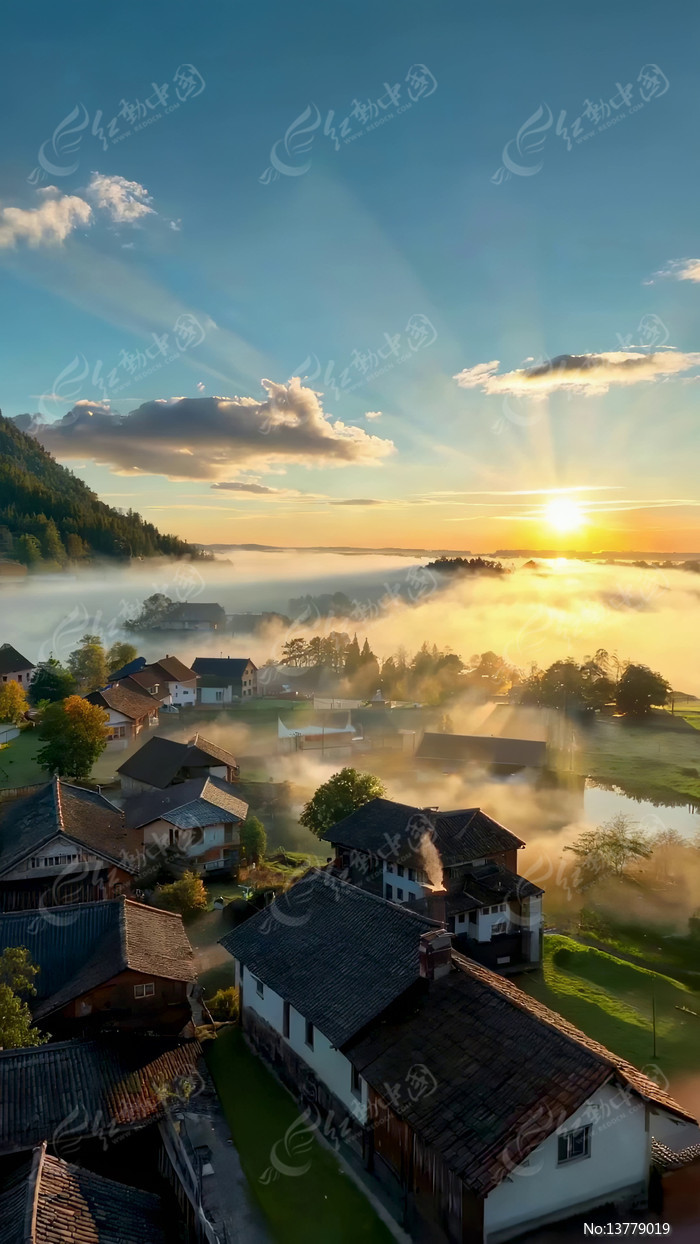 ����ճ����������