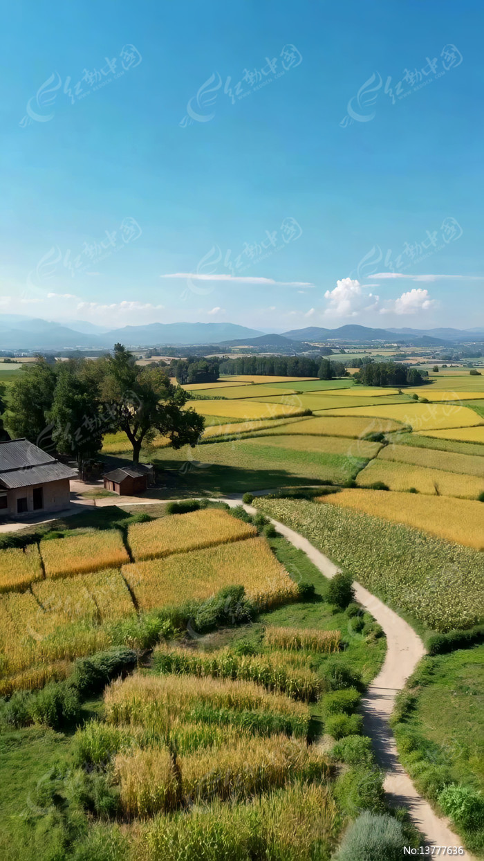 �����Ұ���ﺽ���ز�