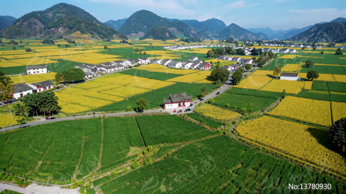 �����Ұ���ķ��