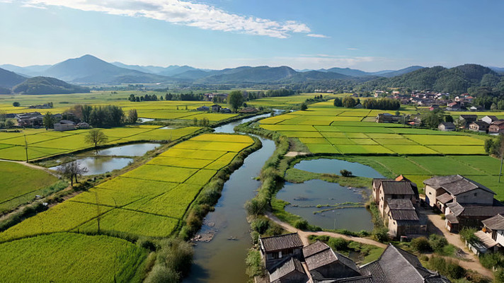 �����Ұ��������ȫ��