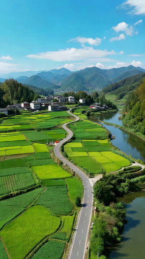 �����԰���﹫·���ķ羰