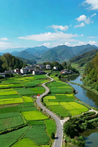 �����԰���﹫·���ķ羰