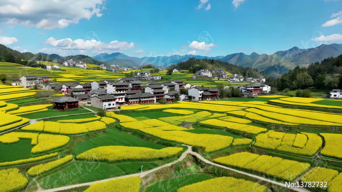 ����Ͳ˻����︩���