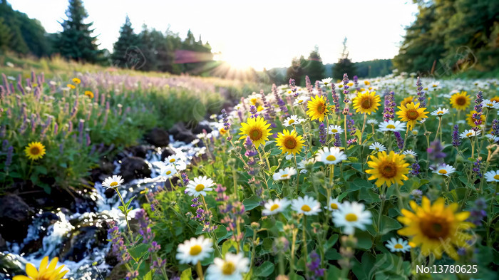 Ϫ��ʢ�ŵ�Ұ����Ȼ���