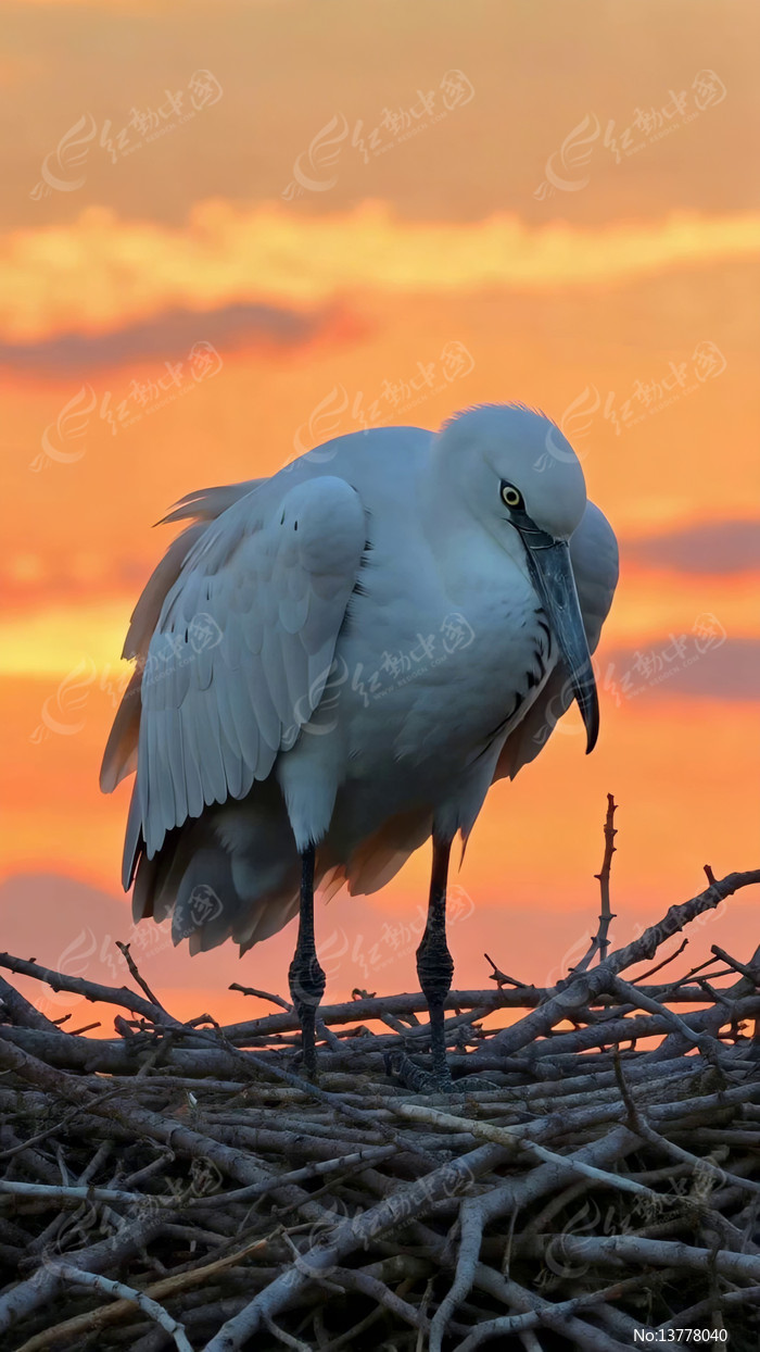 Ϧ���°������ڳ�Ѩ