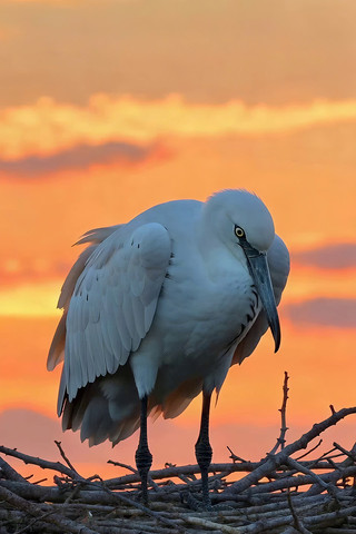 Ϧ���°������ڳ�Ѩ