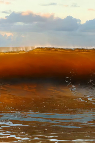 Ϧ���´󺣺��˾���