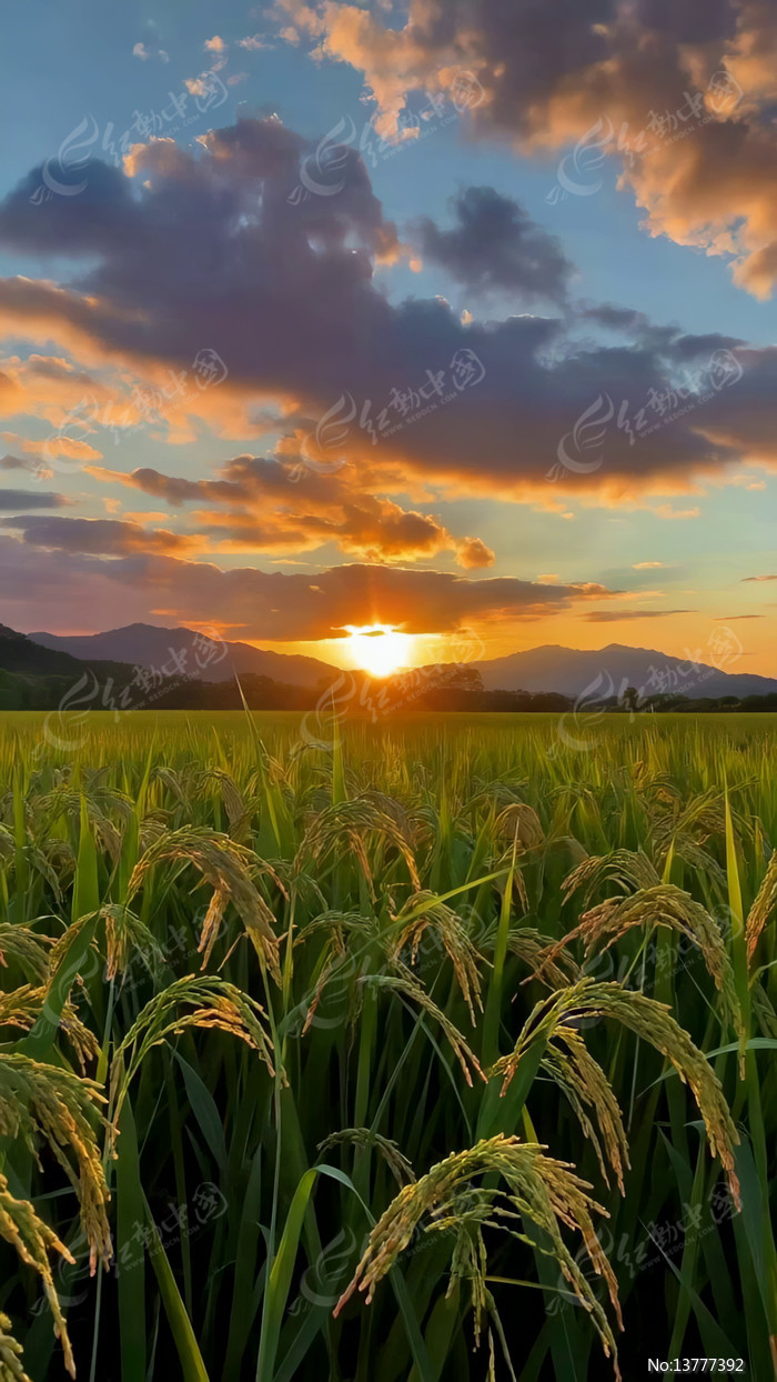 Ϧ���µĵ�����Ȼ���