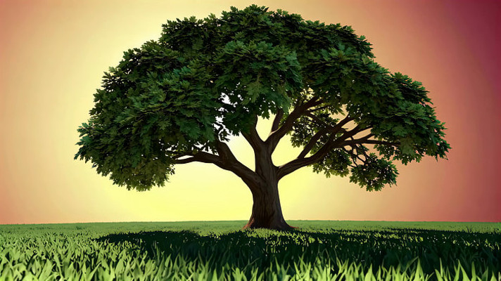 Ϧ���µĴ�����ݵ�