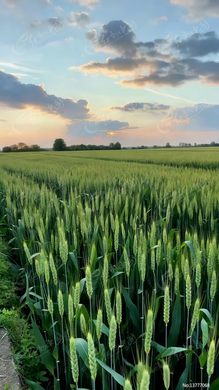 Ϧ���µ�������