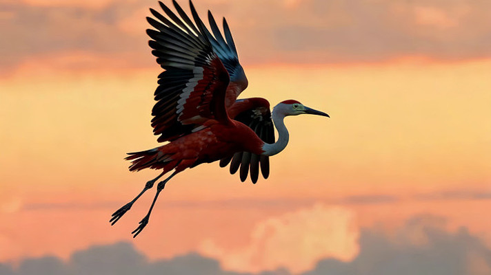 Ϧ���·���չ�᰿��