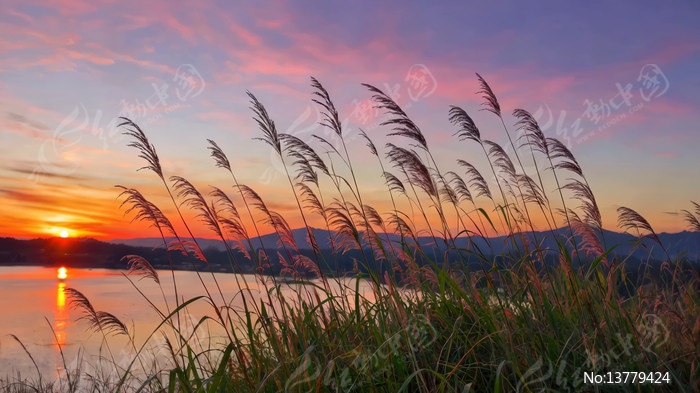 Ϧ���º���«έ��Ȼ����