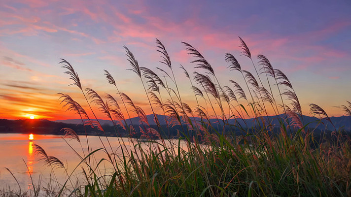 Ϧ���º���«έ��Ȼ����