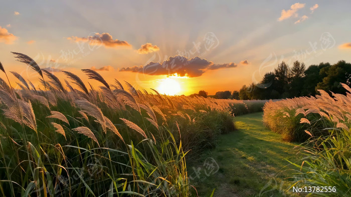 Ϧ����«έ����Ȼ���