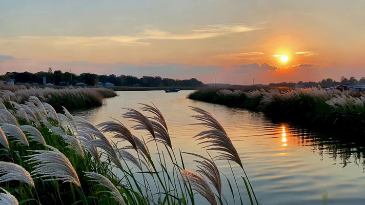 Ϧ����«έ�������羰