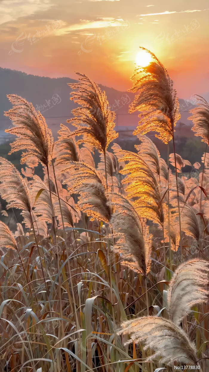 Ϧ�������ҡҷ��«έ