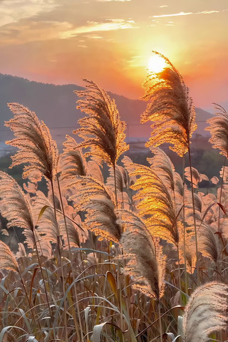 Ϧ�������ҡҷ��«έ