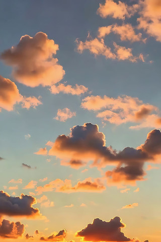 Ϧ����������ƶ侰��