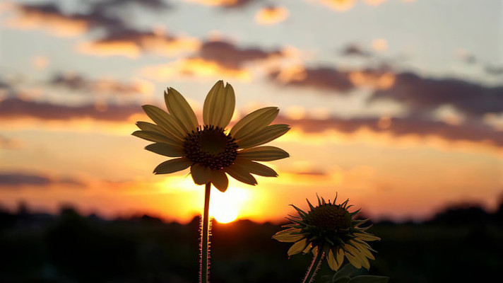 Ϧ�������տ���Ȼ����ز�