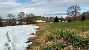 ѩ�زݵع�����Ȼ�羰