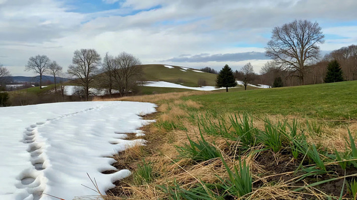 ѩ�زݵع�����Ȼ�羰