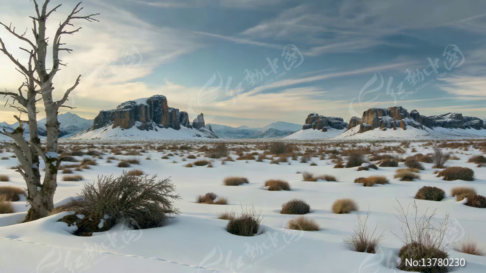 ѩ�ػ�Ұ������Ȼ���