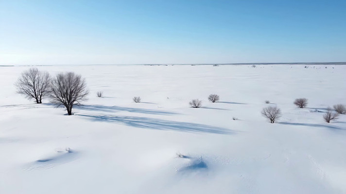 雪地旷野树木风景 雪地旷野树木风景