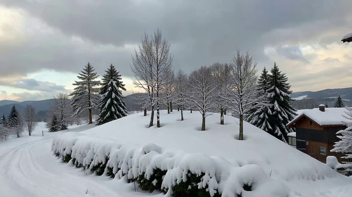 ѩ��ɽ��С��ѩ��