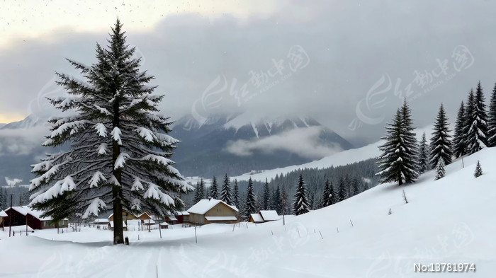 ѩ���ǵ�ɽ����ľ�ݾ���