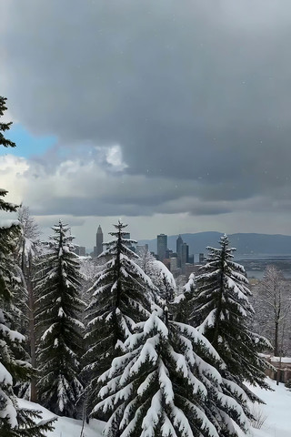 雪后城市风光与雪松景观 雪后城市风光与雪松景观
