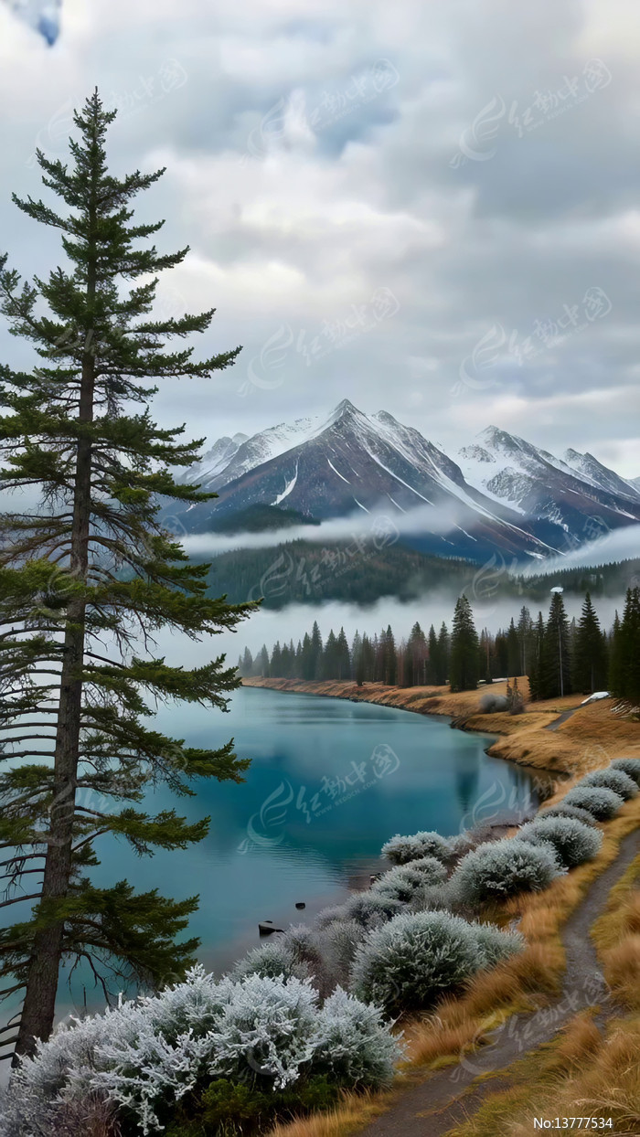 ѩɽ����ɭ����Ȼ�羰�ز�