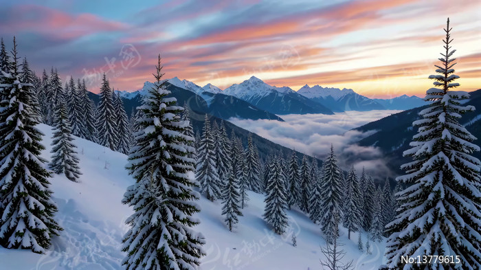 ѩɽɭ�ֶ������侰��